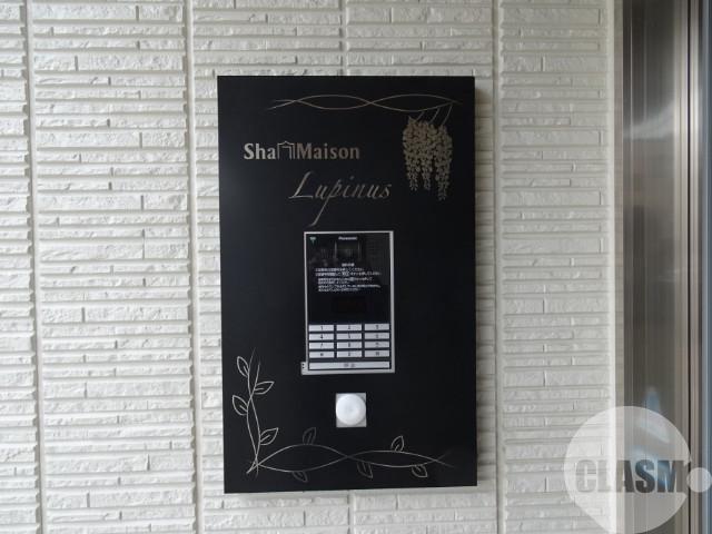 17/30 その他画像