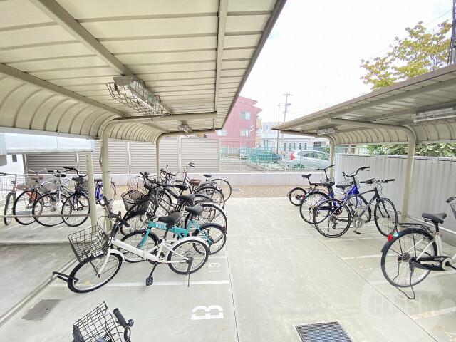 15/30 その他画像