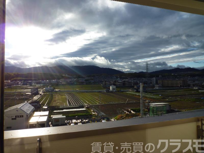 29/30 その他画像