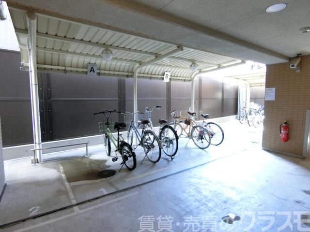 30/30 周辺