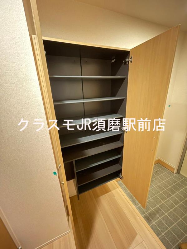 20/30 その他画像