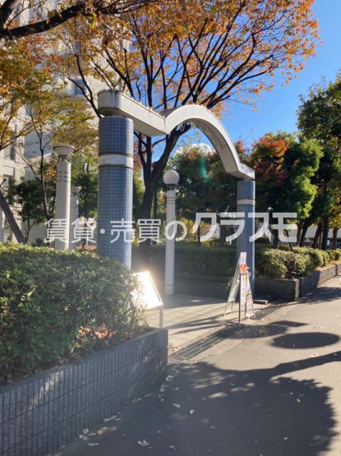 3/16 その他画像