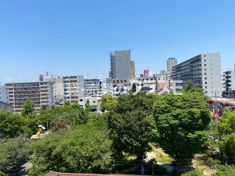 15/29 その他画像