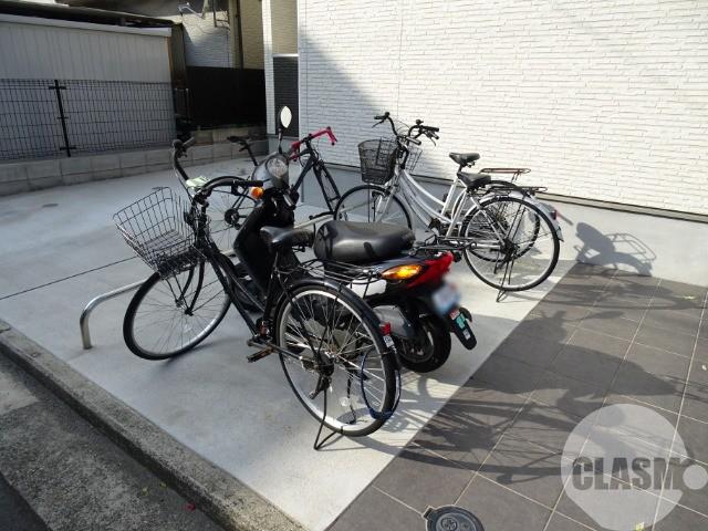 20/30 その他画像