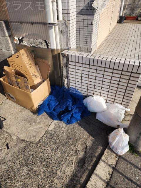 19/24 その他画像