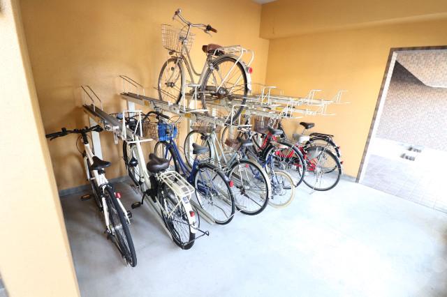 20/30 その他画像