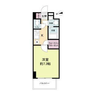 南金田の完工年月（2019年9月）築の賃貸マンションの間取り