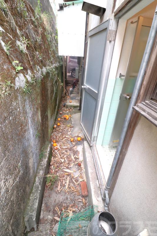 10/24 バルコニー