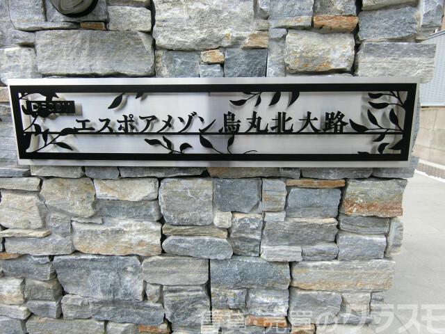 5/5 周辺