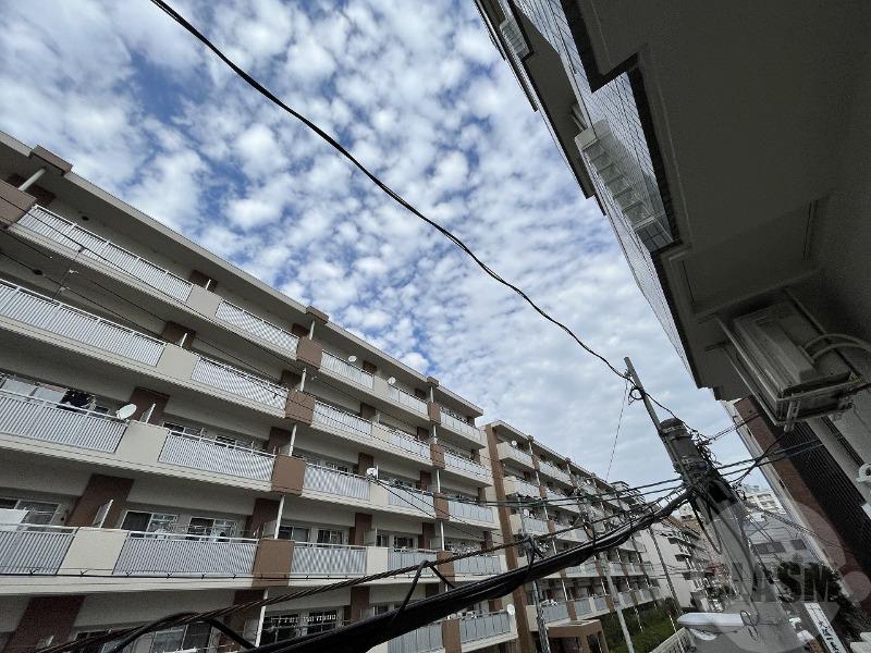 19/26 その他画像