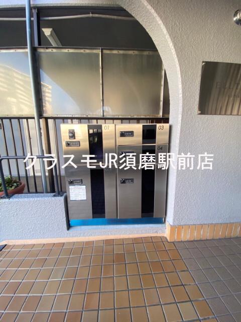 20/30 その他画像