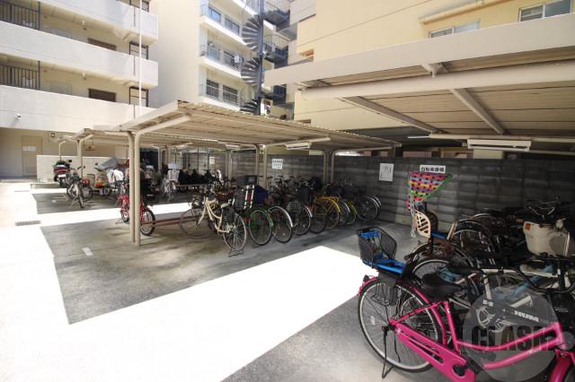 15/29 その他画像