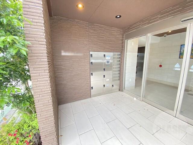 20/30 その他画像