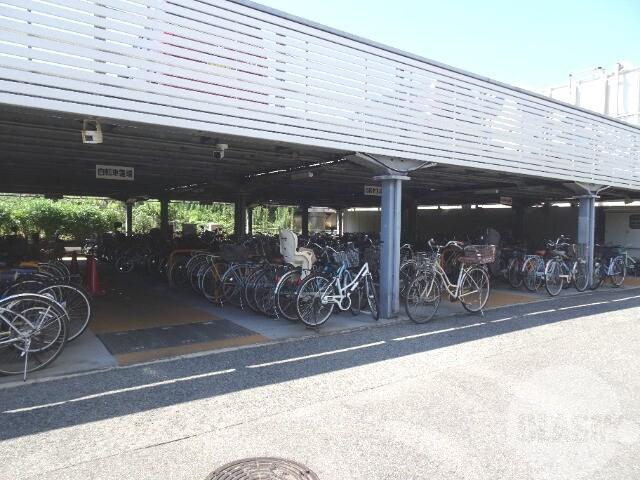 3/16 その他画像