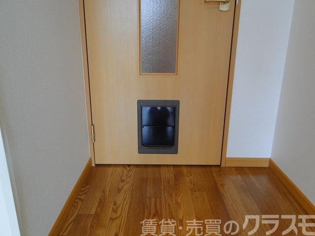 5/30 室内
