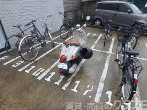 30/30 周辺