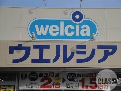 6/11 周辺