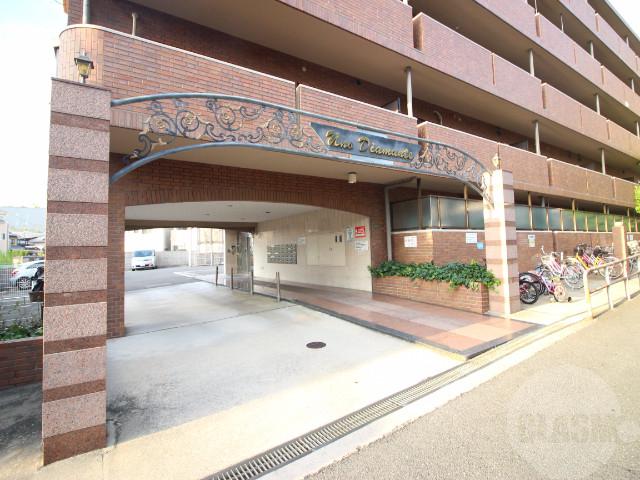 5/11 周辺