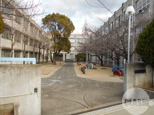 29/30 周辺