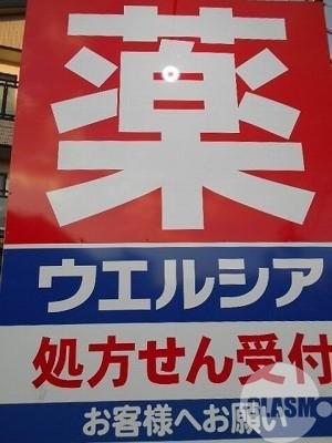 28/30 周辺