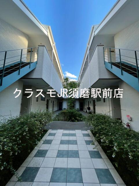 3/10 周辺