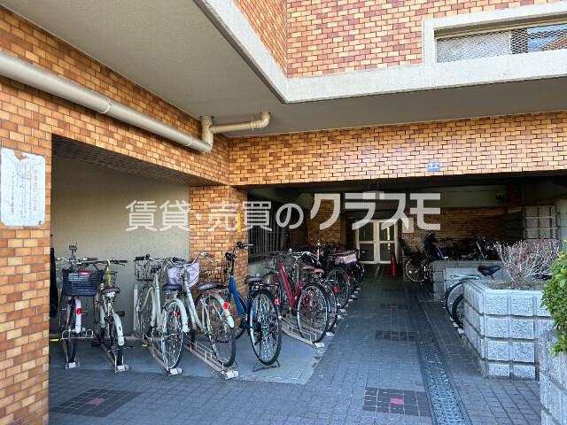 6/15 周辺