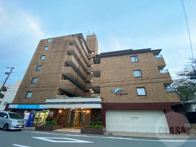 1/28 外観