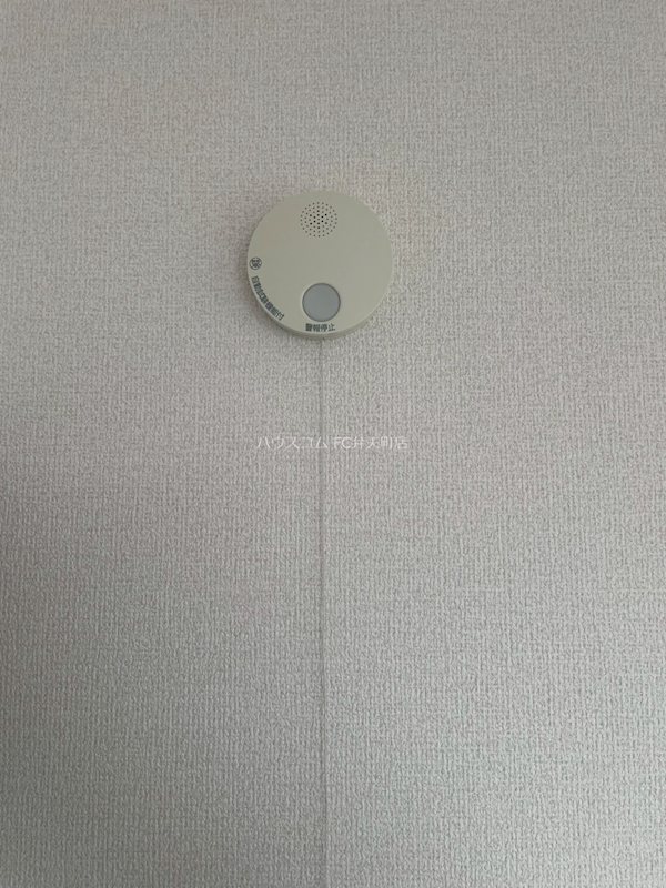 16/22 その他画像