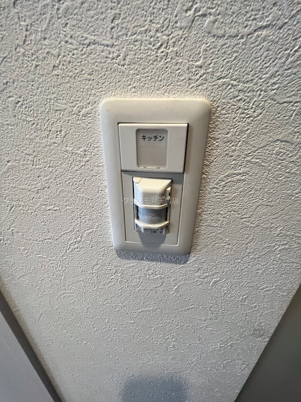 17/25 その他画像