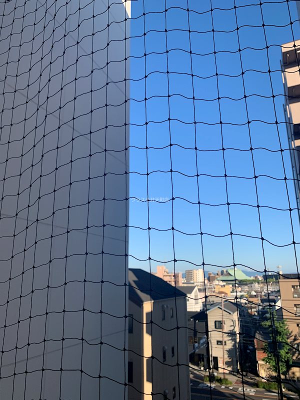 14/21 その他画像