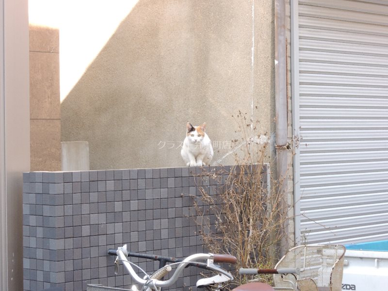 16/21 その他画像