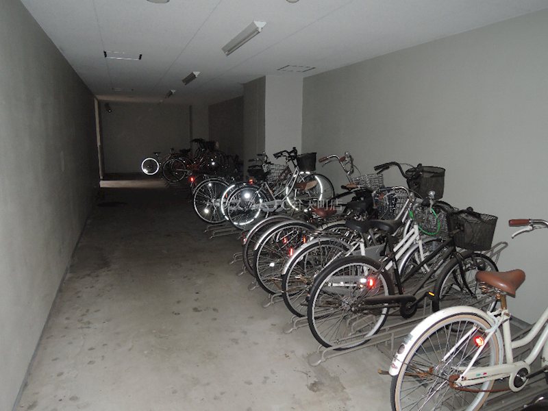 15/24 その他画像