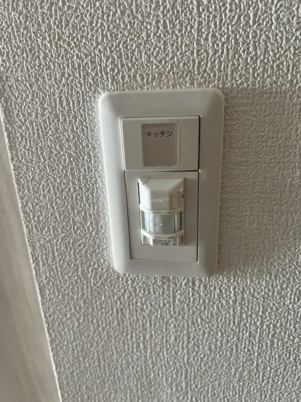 19/26 その他画像