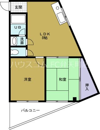 ハイネス磯路の間取り