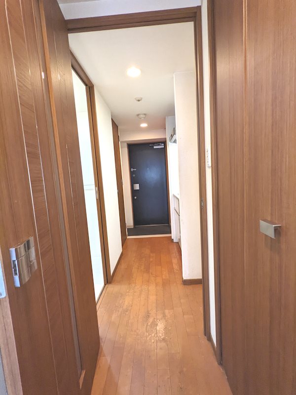 15/29 その他画像