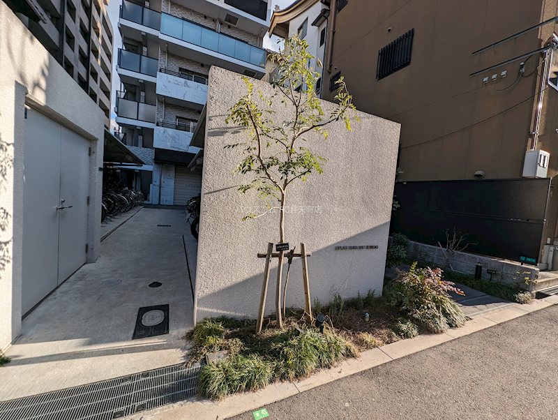 17/25 その他画像