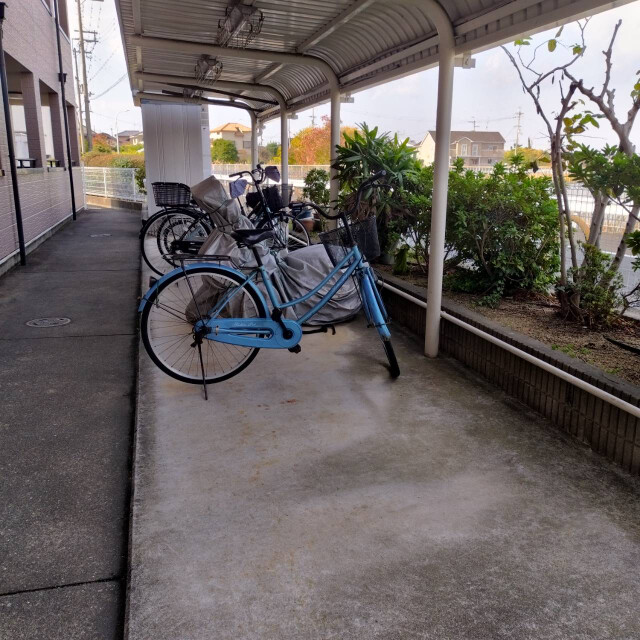 8/16 その他画像