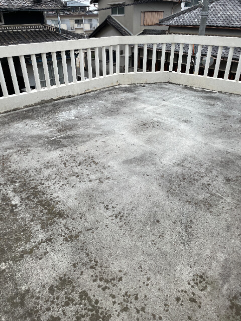 14/19 その他画像