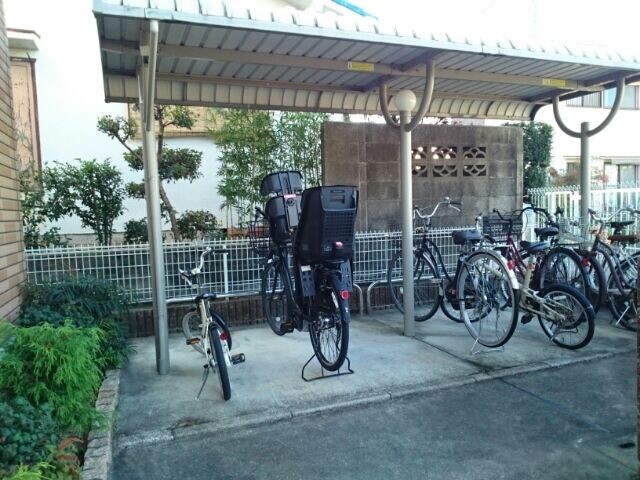 3/15 その他画像