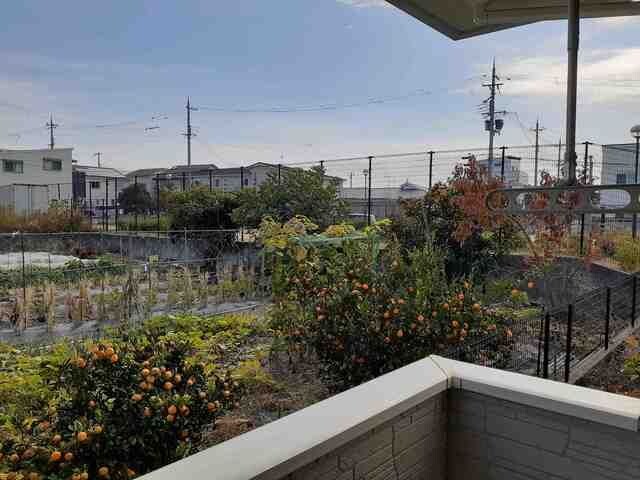 10/20 バルコニー