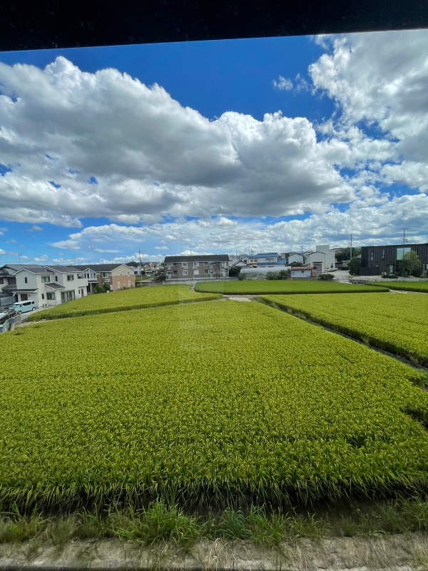 15/25 その他画像