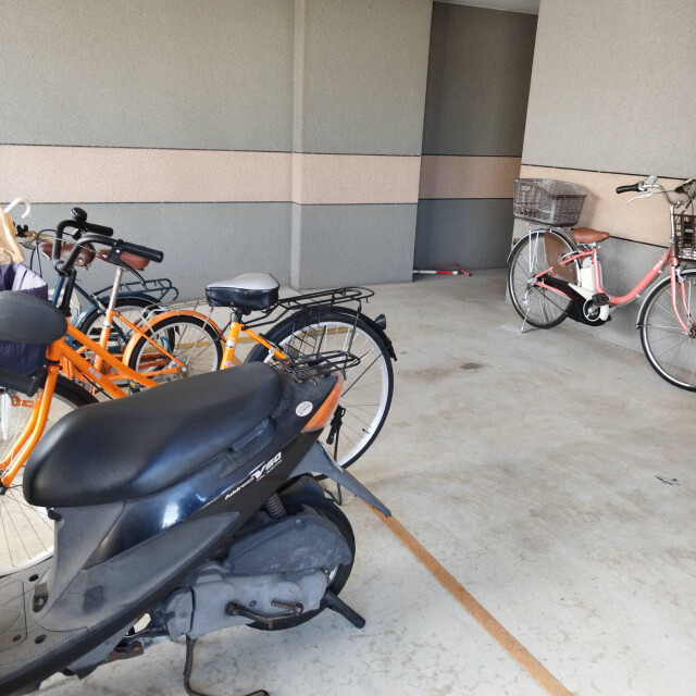 19/30 その他画像