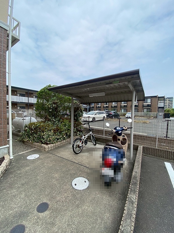 20/30 その他画像