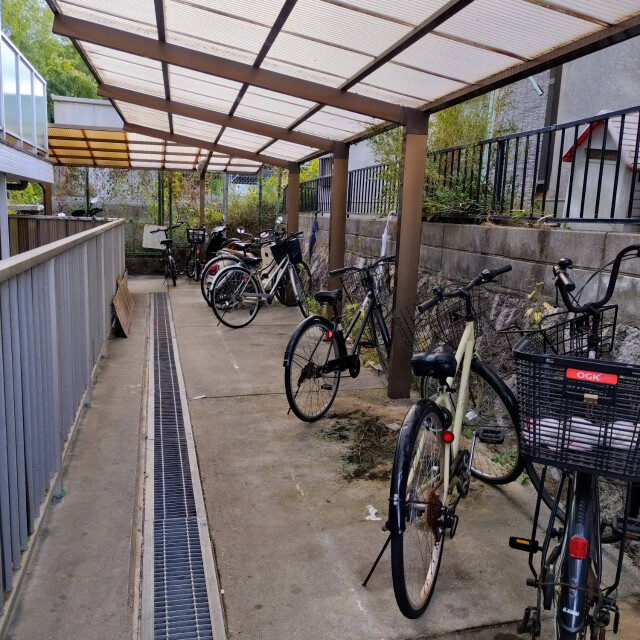 11/22 その他画像