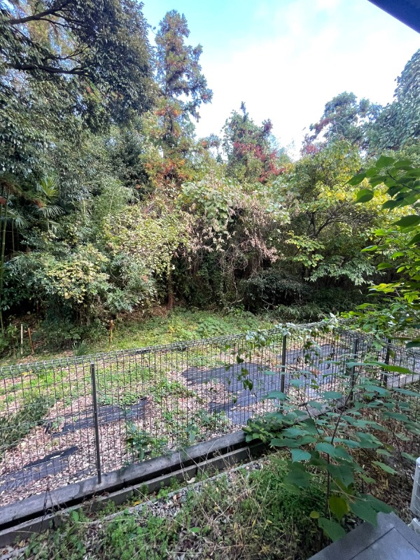 17/23 その他画像