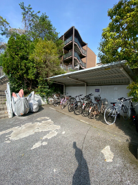 20/30 その他画像