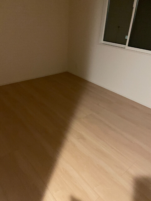 15/21 その他画像