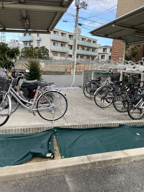 13/18 その他画像