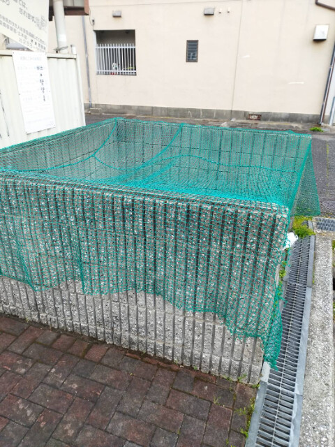 19/26 その他画像