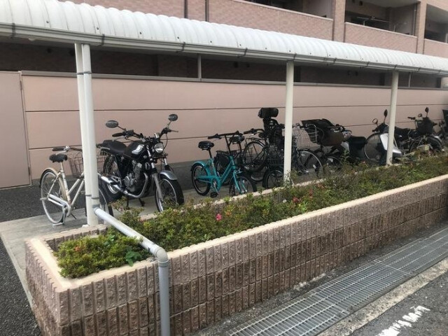 7/19 その他画像